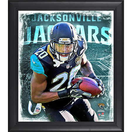 Official NFL Poster